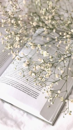 Книга эстетика
