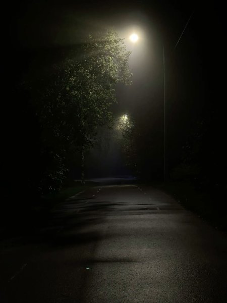 Street lights by a walkway in fog the evening