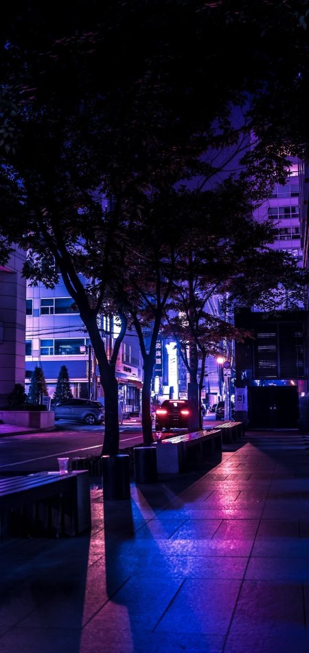 City street at night