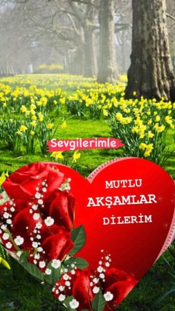 Iyi akşamlar