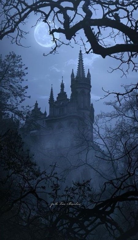 Готические замки