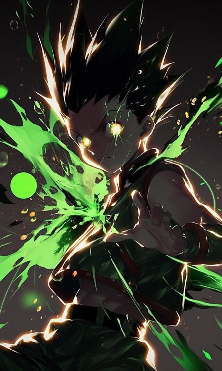 Hunter x аниме