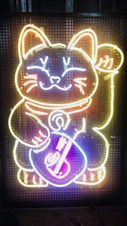 Неоновая вывеска кот скачать фон 720 x 1280