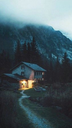 Одинокий дом в лесу скачать фон 720 x 1280