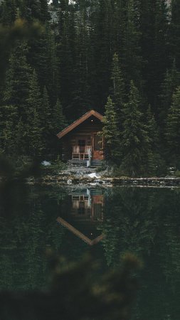 Cabin in woods by the lake скачать фон 1080 x 1920