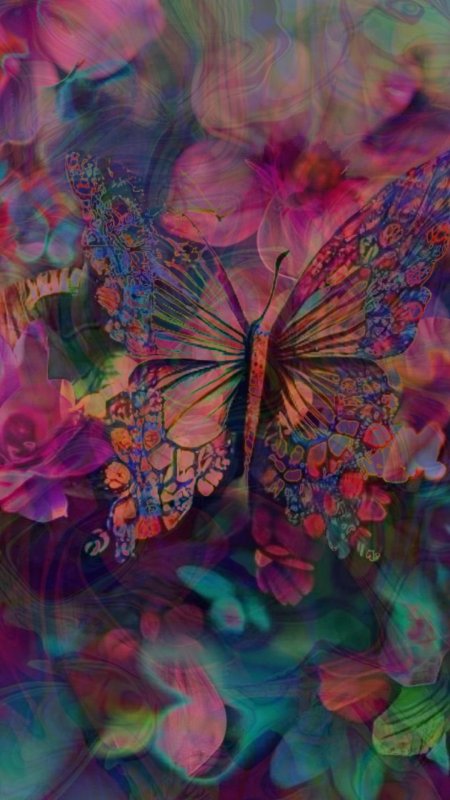 Colorful butterfly