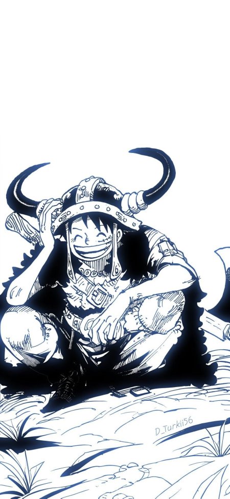 One piece luffy