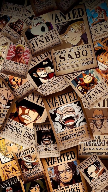 One piece wanted poster