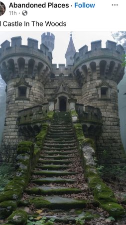 Abandoned castle covered in ivy