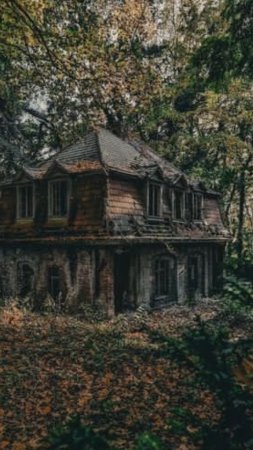 Заброшенный дом в лесу