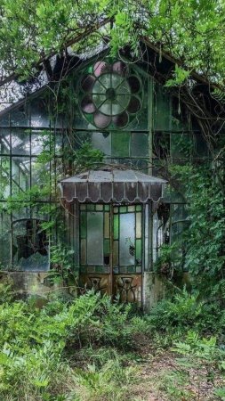 Abandoned greenhouse
