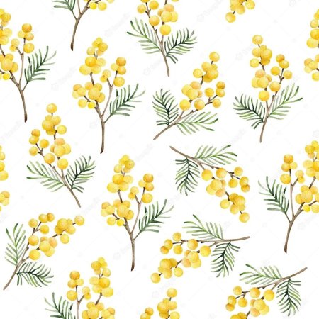 Мимоза акварель mimosa