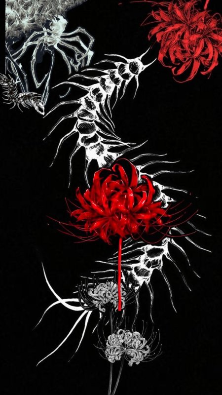 Red spider lily