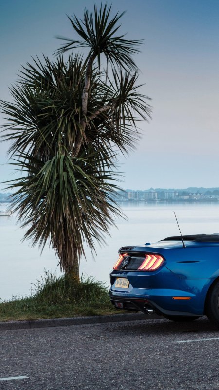 Ford mustang cabrio