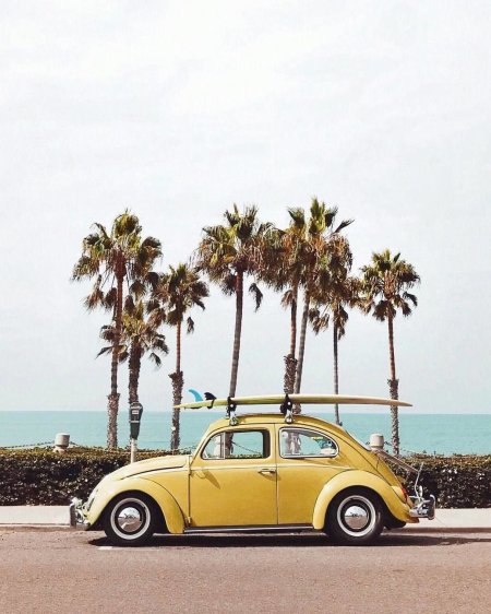 Volkswagen beetle stance