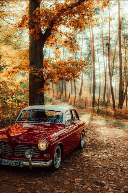 Volvo amazon