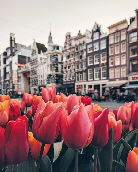 Amsterdam netherlands