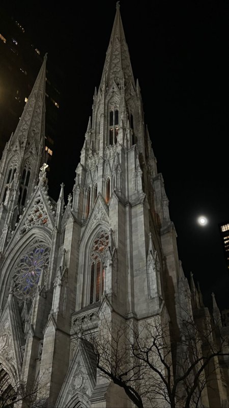 St patrick's cathedral