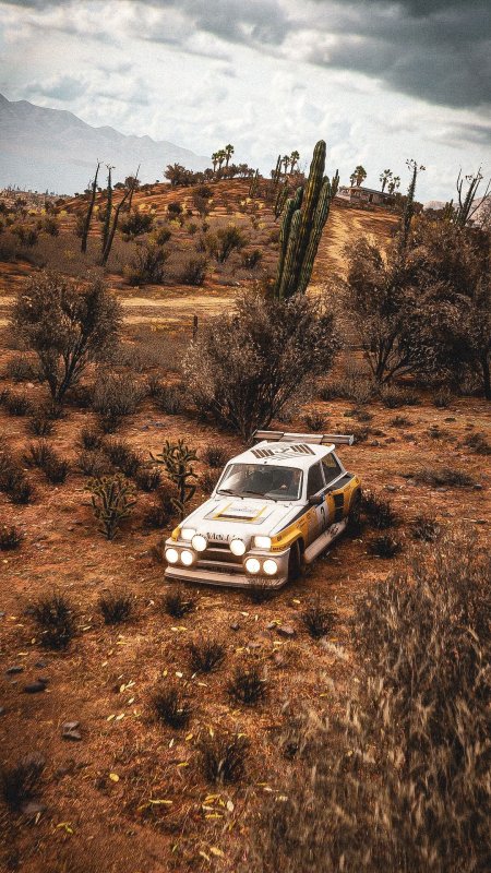 Renault turbo rally