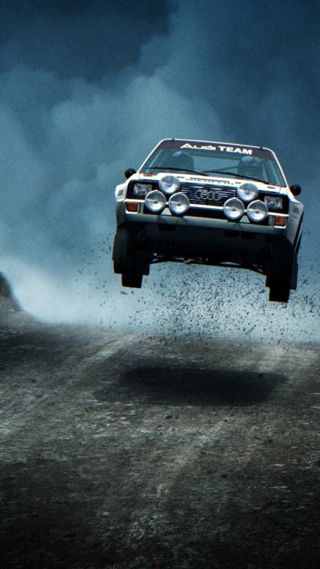 Dirt rally обложка