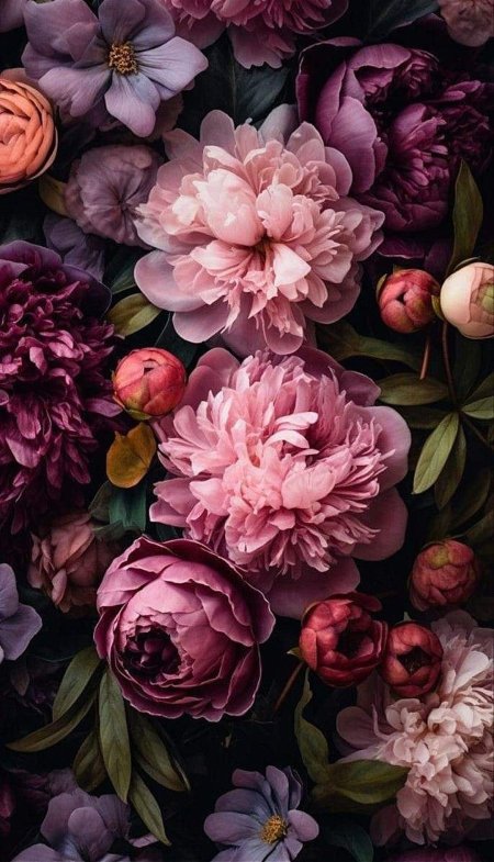 Lovely flowers wallpaper