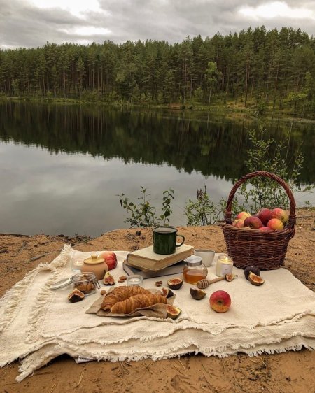 Пикник у озера