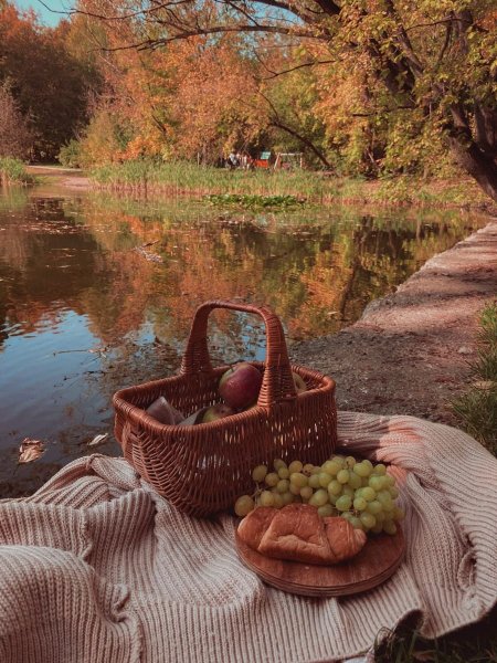 Осенний пикник