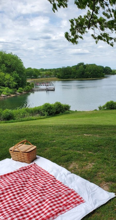 Picnic in the park