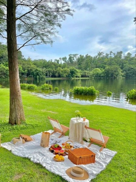 Нескучный сад пикник