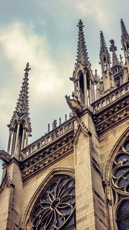 Cathedral notre dame