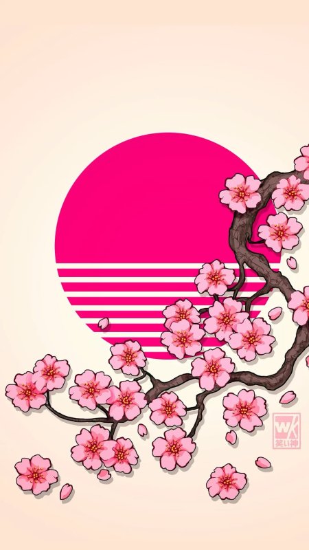 Sakura cherry blossom