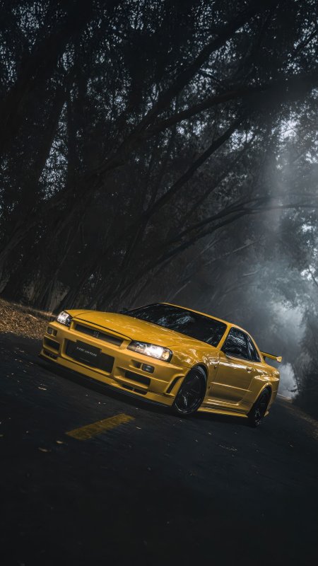 Nissan skyline gt r