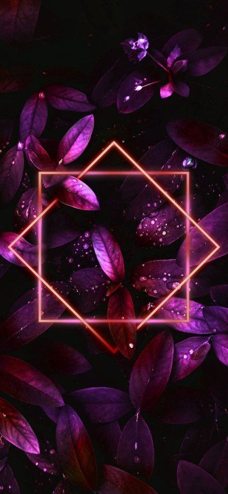 Purple leaves with neon frame wallpaper