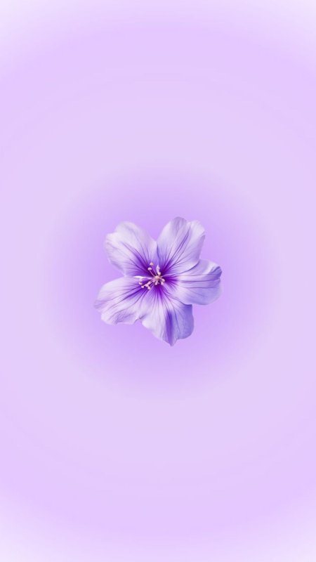 Светло фиолетовая