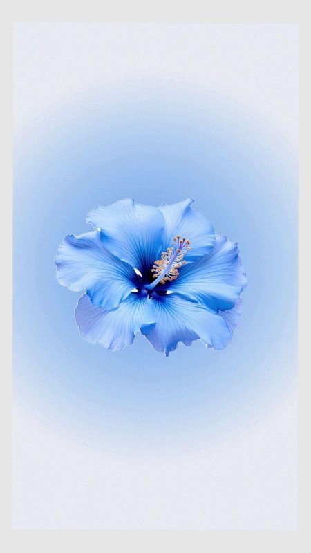 A blue flower