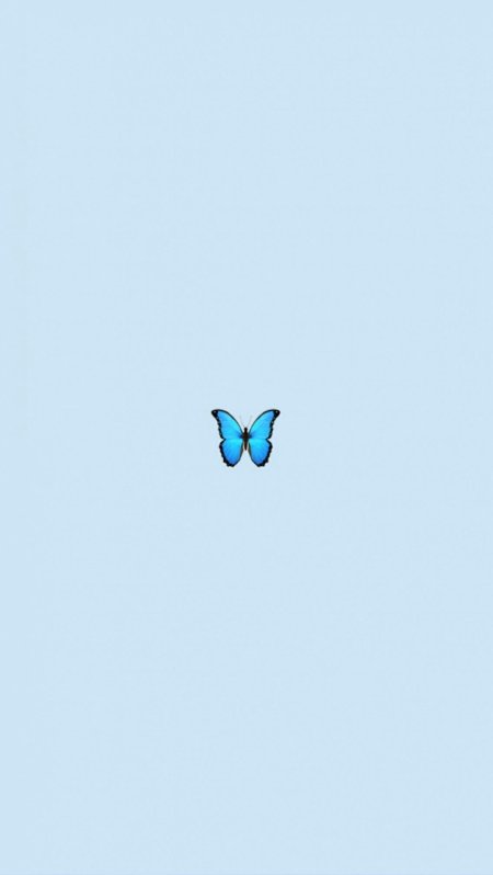 Бабочка 🦋