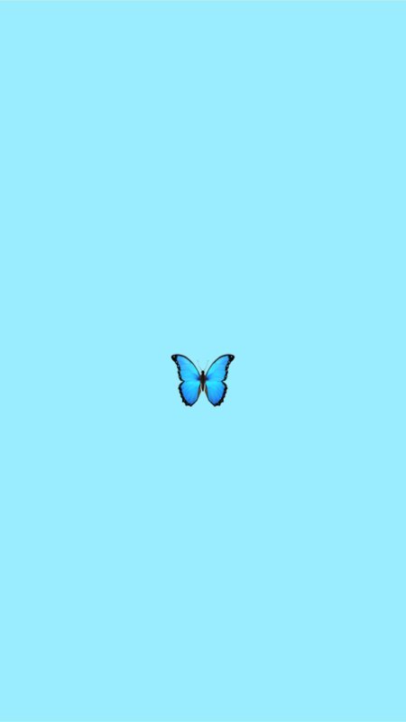 Blue butterfly