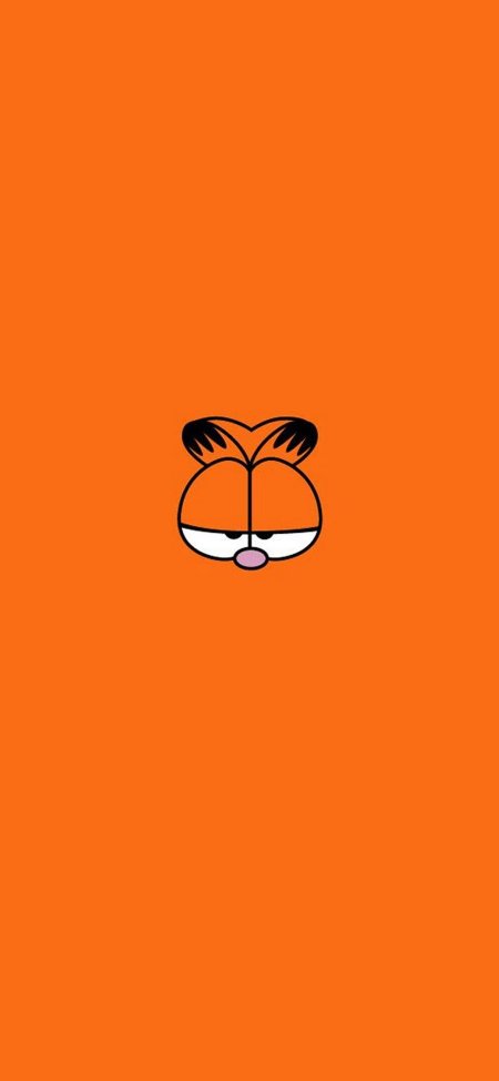 Garfield cat