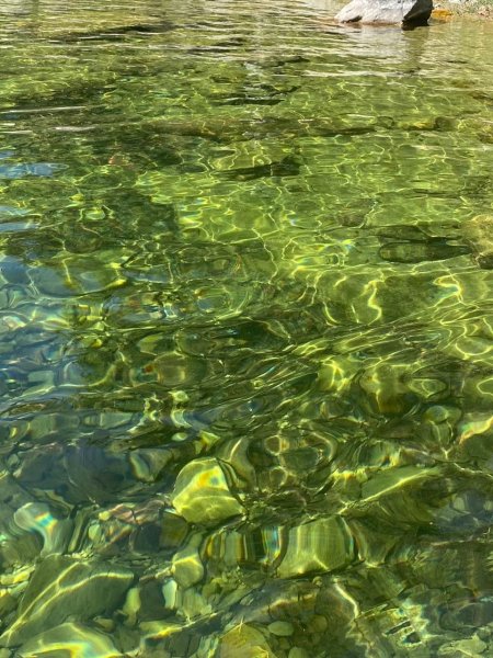 Зеленая вода