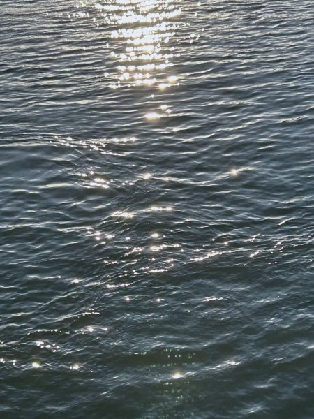 Water reflection