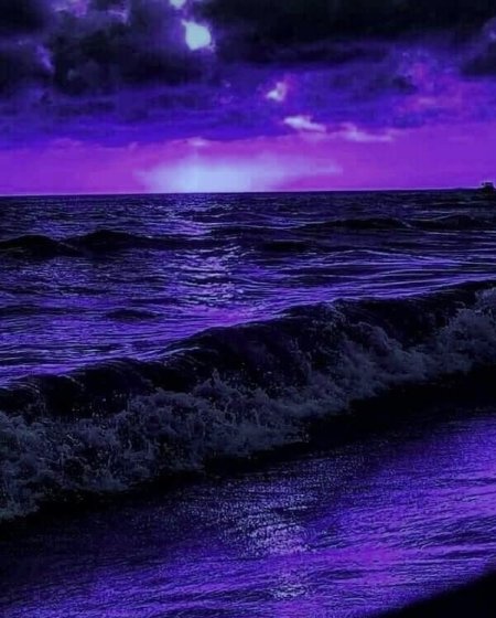 Фиолетовое море