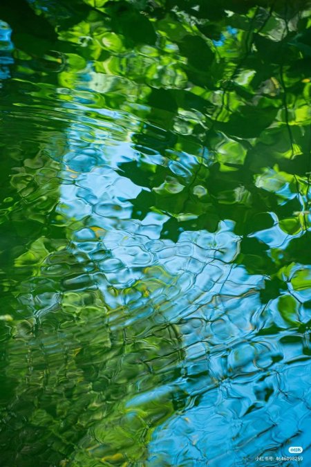 Water reflection