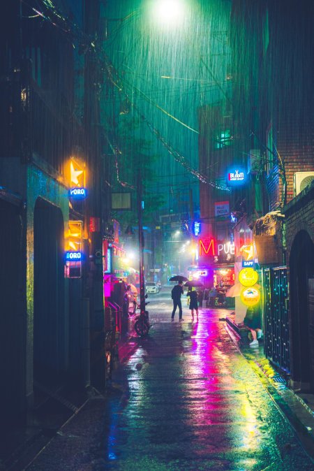 Street in the rain