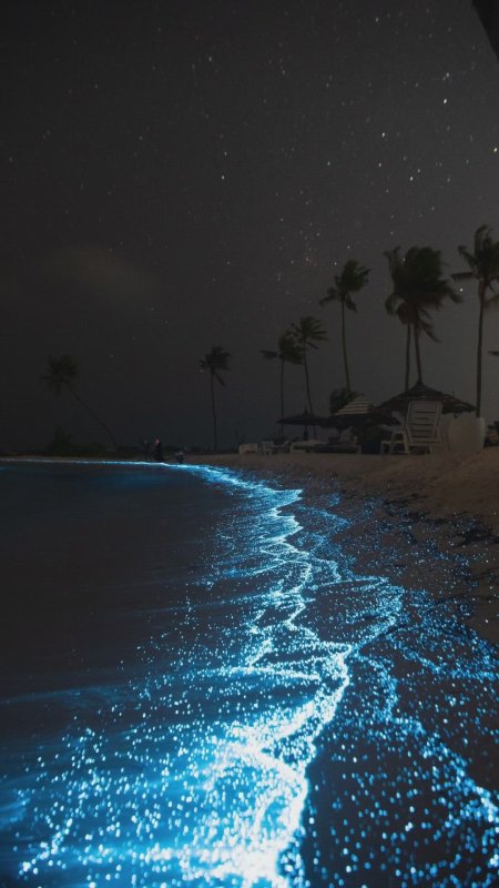 Светящийся планктон в черном море