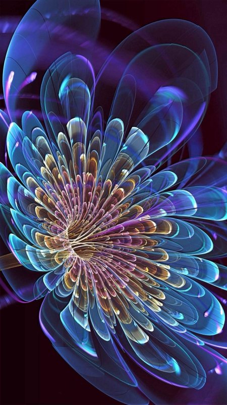 Fractal digital-art