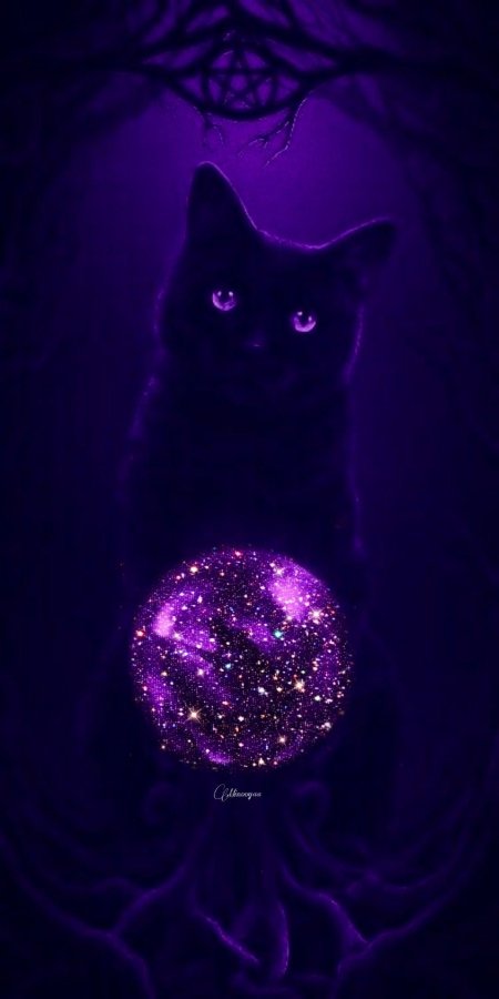 Фиолетовая кошка