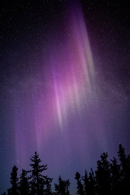 Aurora borealis northern lights