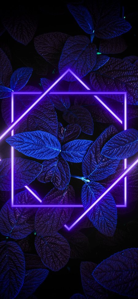 Неоновый свет