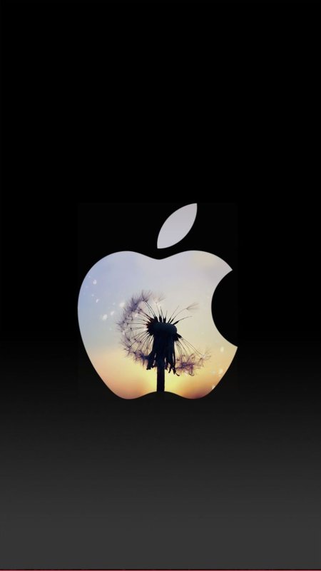 Apple logosu