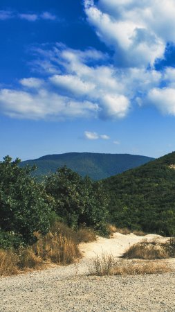 Можжевеловая роща утриш скачать фон 1424 x 2532